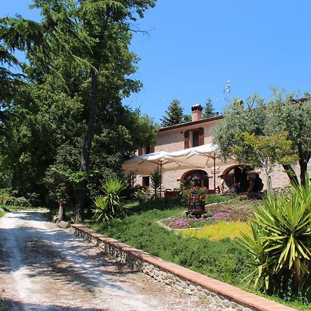 Agriturismo Biologico Villa Rosa Monte Guiduccio Eksteriør billede