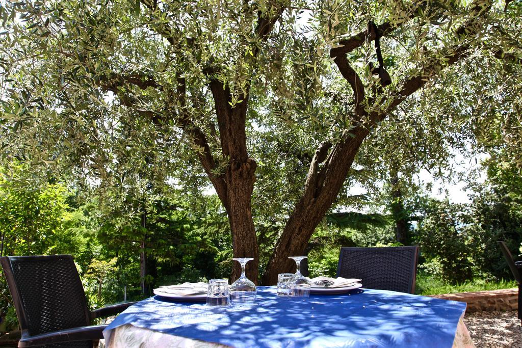 Agriturismo Biologico Villa Rosa Monte Guiduccio Eksteriør billede