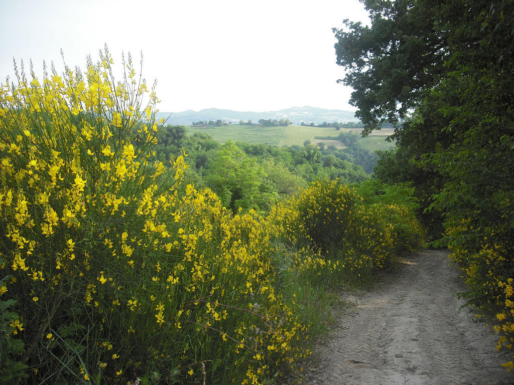 Agriturismo Biologico Villa Rosa Monte Guiduccio Eksteriør billede