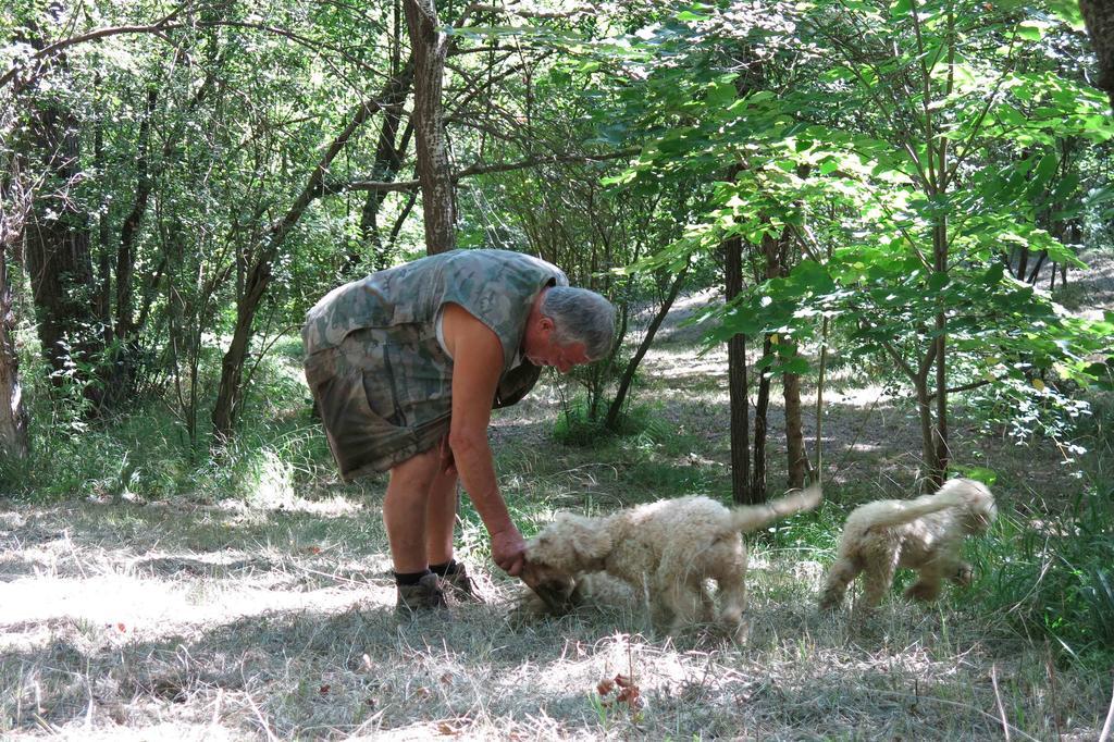 Agriturismo Biologico Villa Rosa Monte Guiduccio Eksteriør billede