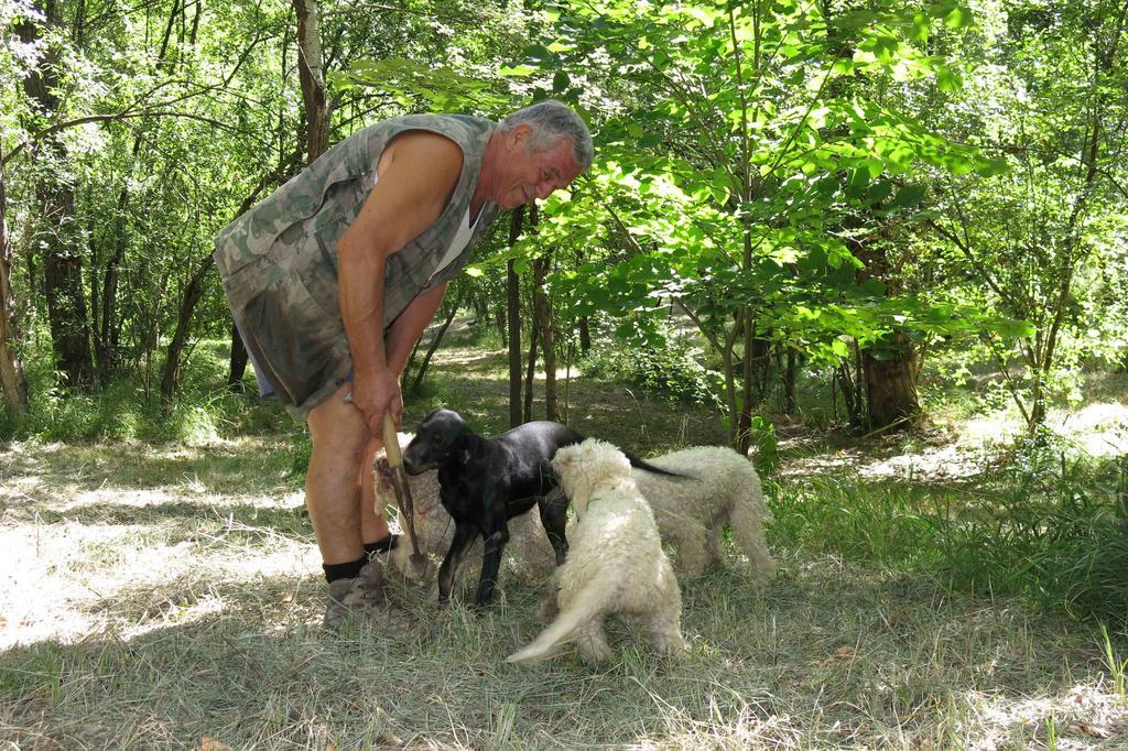 Agriturismo Biologico Villa Rosa Monte Guiduccio Eksteriør billede