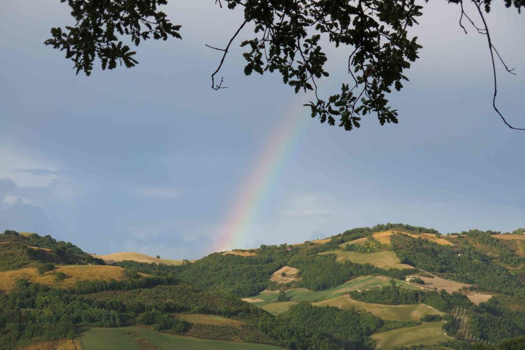 Agriturismo Biologico Villa Rosa Monte Guiduccio Eksteriør billede