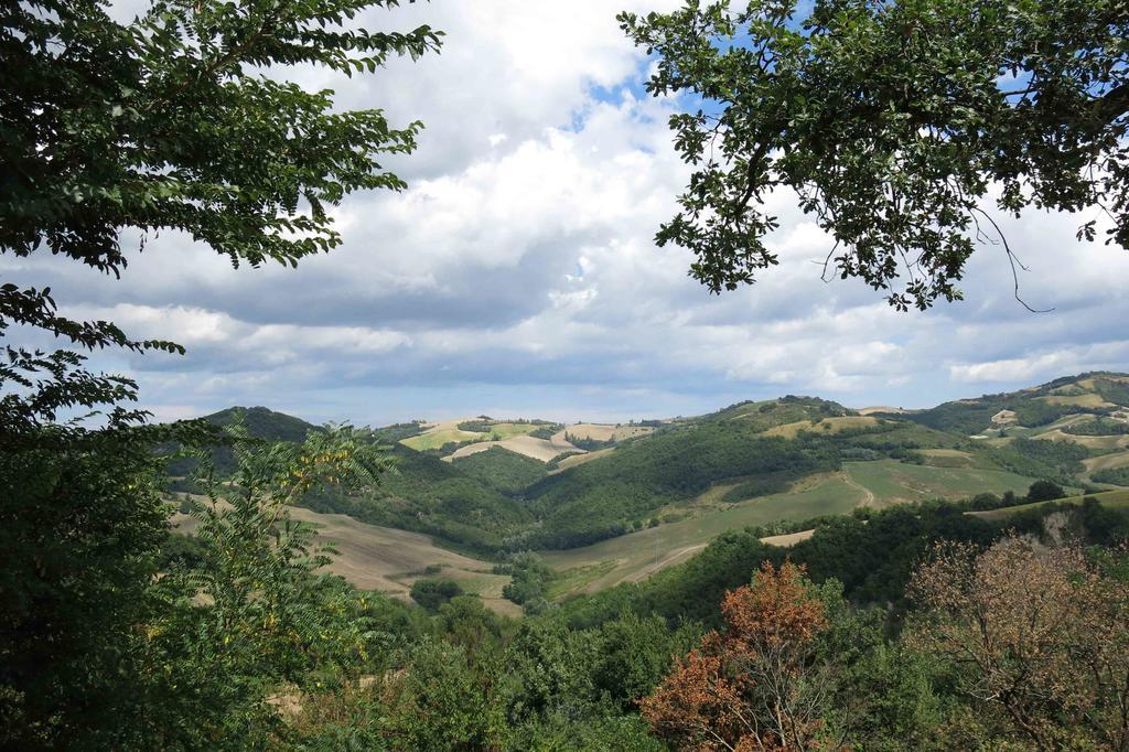 Agriturismo Biologico Villa Rosa Monte Guiduccio Eksteriør billede
